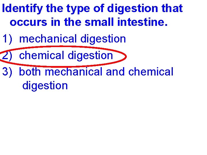 Identify the type of digestion that occurs in the small intestine. 1) mechanical digestion