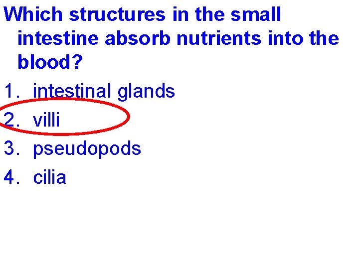 Which structures in the small intestine absorb nutrients into the blood? 1. intestinal glands