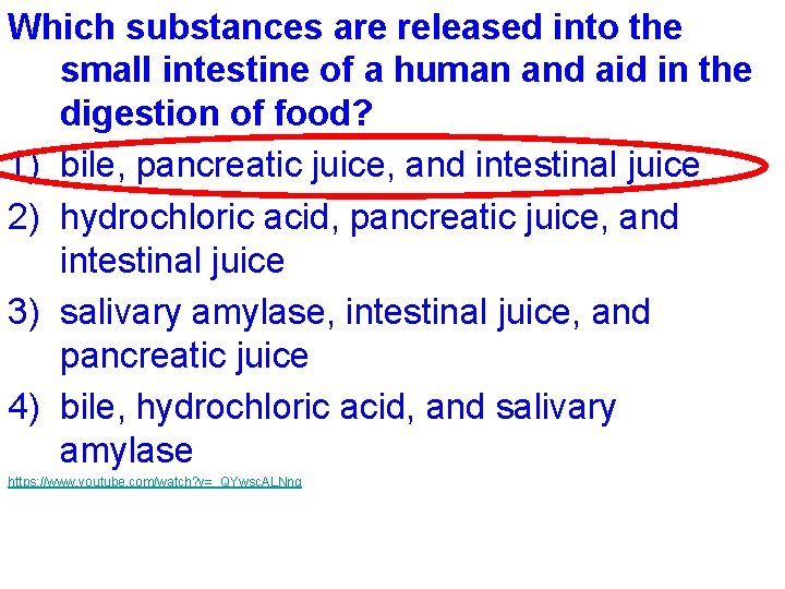 Which substances are released into the small intestine of a human and aid in