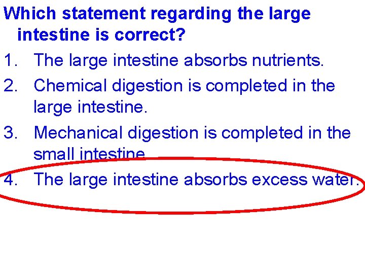 Which statement regarding the large intestine is correct? 1. The large intestine absorbs nutrients.