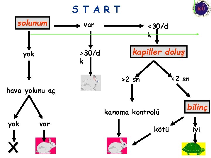 S T A R T solunum yok var <30/d k >30/d k kapiller doluş