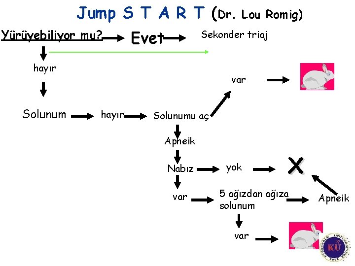 Jump S T A R T (Dr. Yürüyebiliyor mu? Evet Sekonder triaj hayır Solunum