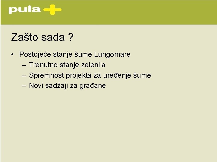 Zašto sada ? • Postojeće stanje šume Lungomare – Trenutno stanje zelenila – Spremnost Zašto sada ? • Postojeće stanje šume Lungomare – Trenutno stanje zelenila – Spremnost
