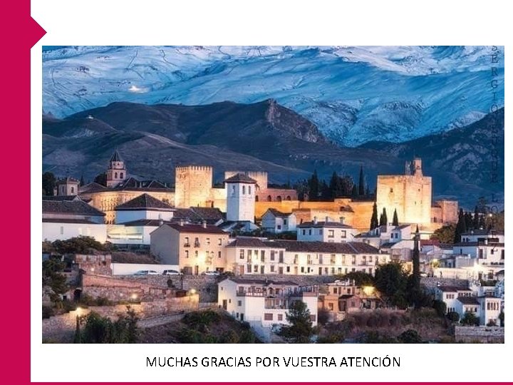 MUCHAS GRACIAS POR VUESTRA ATENCIÓN MUCHAS GRACIAS POR VUESTRA ATENCIÓN