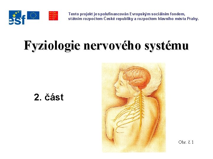 Tento projekt je spolufinancován Evropským sociálním fondem, státním rozpočtem České republiky a rozpočtem hlavního