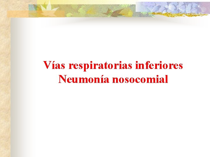 Vías respiratorias inferiores Neumonía nosocomial 