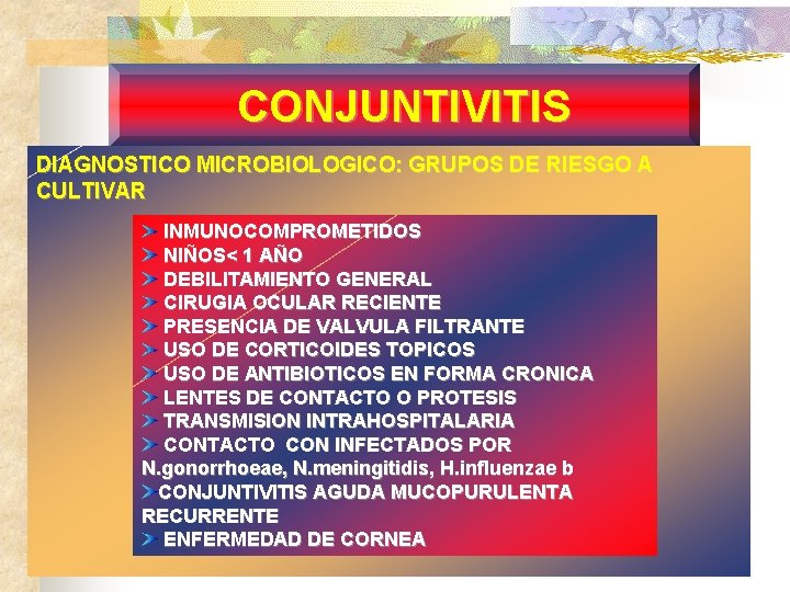 CONJUNTIVITIS DIAGNOSTICO MICROBIOLOGICO: GRUPOS DE RIESGO A CULTIVAR INMUNOCOMPROMETIDOS NIÑOS< 1 AÑO DEBILITAMIENTO GENERAL