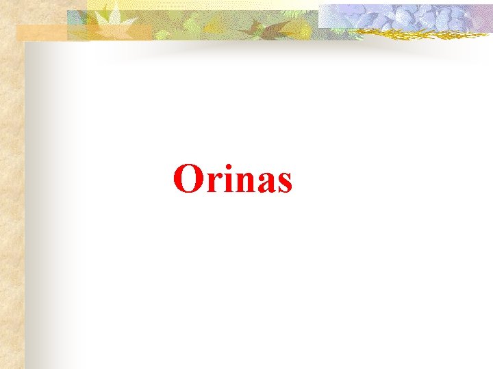 Orinas 