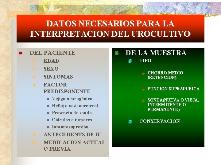 DATOS NECESARIOS PARA LA INTERPRETACION DEL UROCULTIVO n DEL PACIENTE n n EDAD SEXO