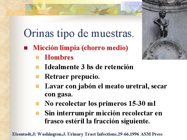 Orinas tipo de muestras. n Micción limpia (chorro medio) n Hombres n Idealmente 3