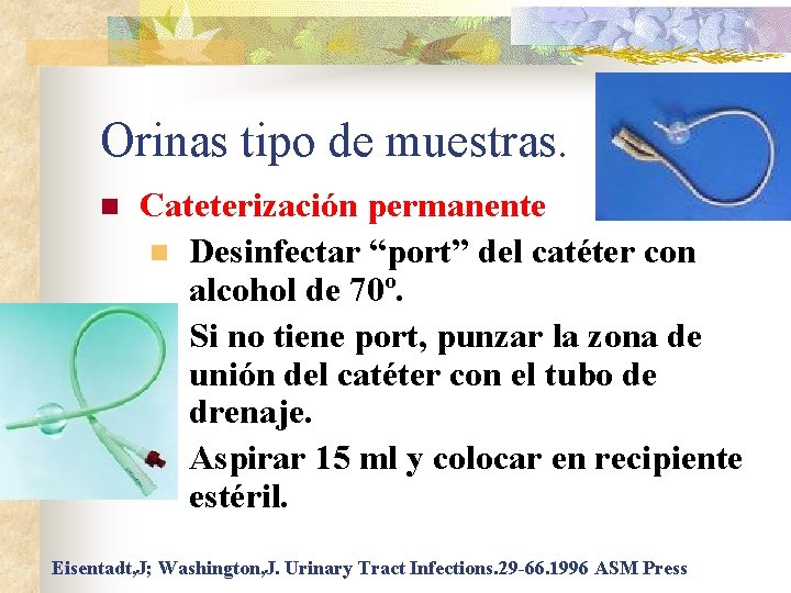 Orinas tipo de muestras. n Cateterización permanente n Desinfectar “port” del catéter con alcohol