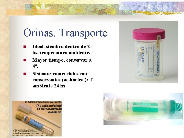 Orinas. Transporte n n n Ideal, siembra dentro de 2 hs, temperatura ambiente. Mayor