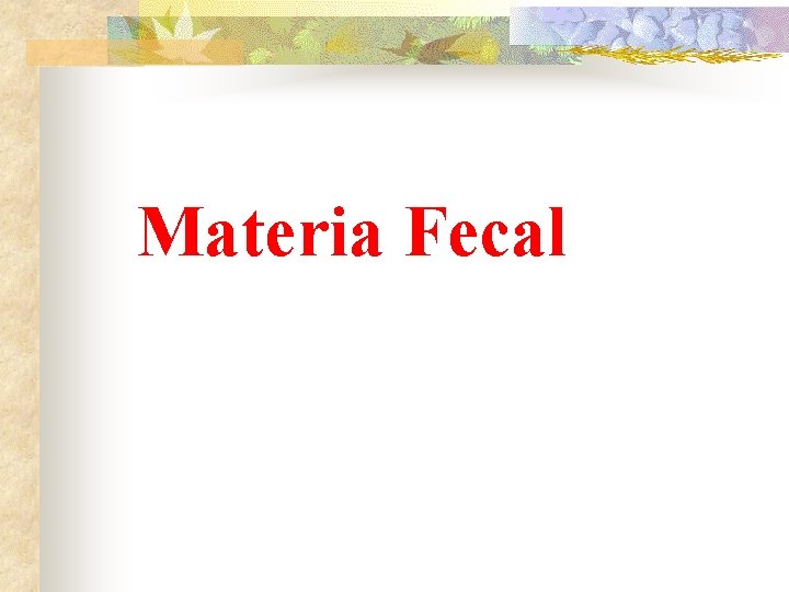 Materia Fecal 