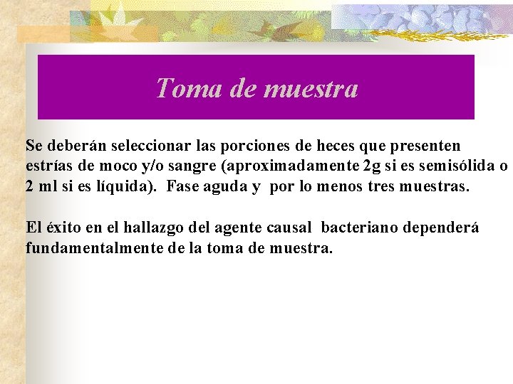 Toma de muestra Se deberán seleccionar las porciones de heces que presenten estrías de