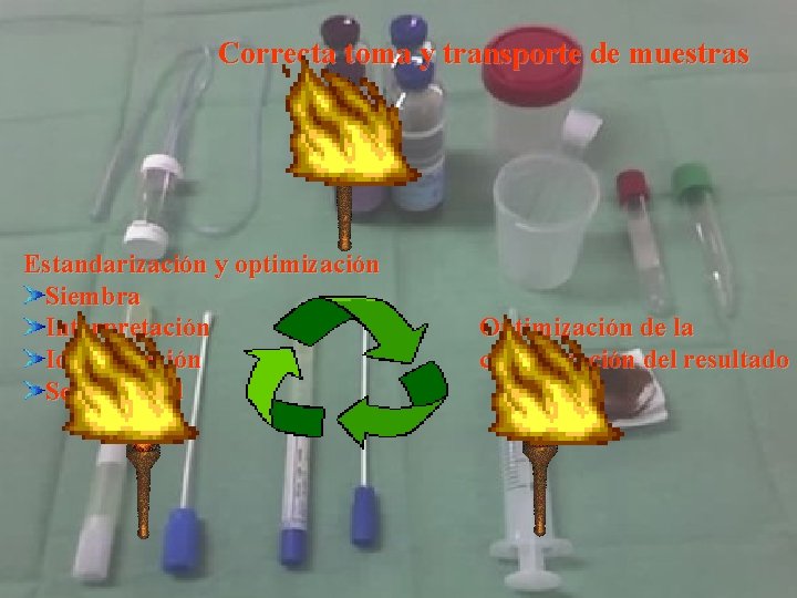 Correcta toma y transporte de muestras Estandarización y optimización Siembra Interpretación Identificación Sensibilidad Optimización