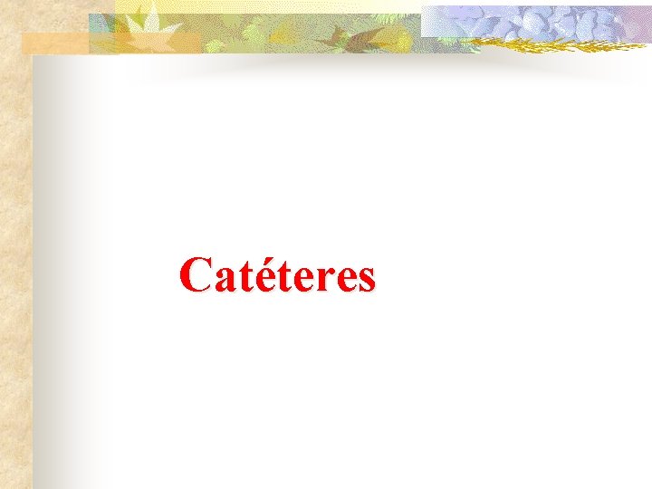 Catéteres 