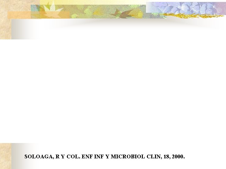 SOLOAGA, R Y COL. ENF INF Y MICROBIOL CLIN, 18, 2000. 