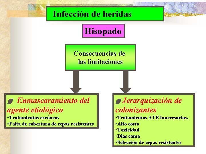 Infección de heridas Hisopado Consecuencias de las limitaciones Enmascaramiento del agente etiológico Jerarquización de