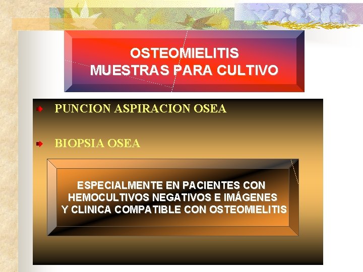 OSTEOMIELITIS MUESTRAS PARA CULTIVO PUNCION ASPIRACION OSEA BIOPSIA OSEA ESPECIALMENTE EN PACIENTES CON HEMOCULTIVOS