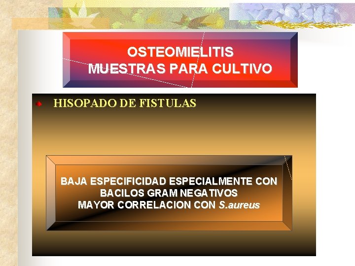 OSTEOMIELITIS MUESTRAS PARA CULTIVO HISOPADO DE FISTULAS BAJA ESPECIFICIDAD ESPECIALMENTE CON BACILOS GRAM NEGATIVOS