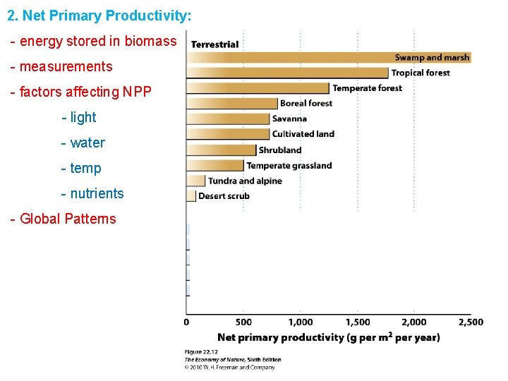 2. Net Primary Productivity: - energy stored in biomass - measurements - factors affecting