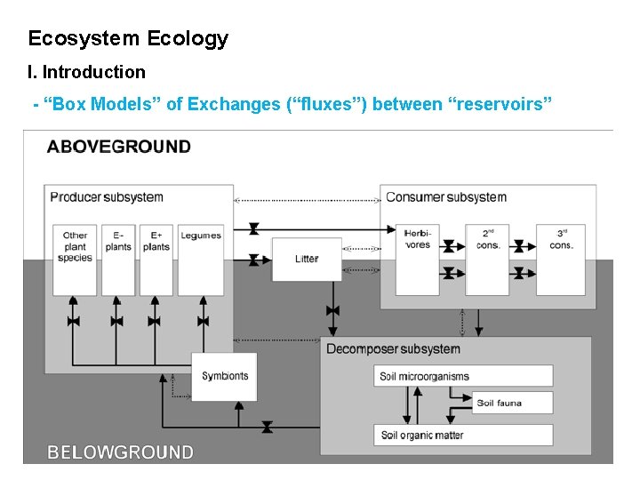Ecosystem Ecology I. Introduction - “Box Models” of Exchanges (“fluxes”) between “reservoirs” 