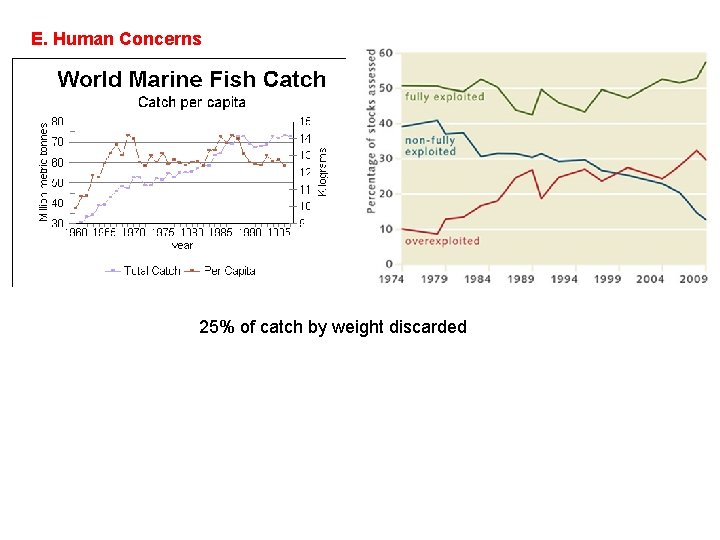 E. Human Concerns 25% of catch by weight discarded 