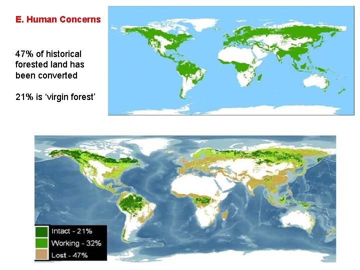 E. Human Concerns 47% of historical forested land has been converted 21% is ‘virgin