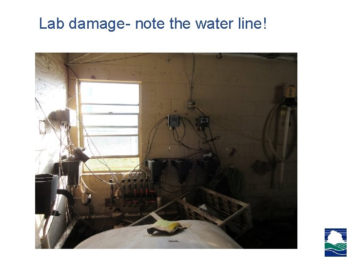 Lab damage- note the water line! Lab damage- note the water line!