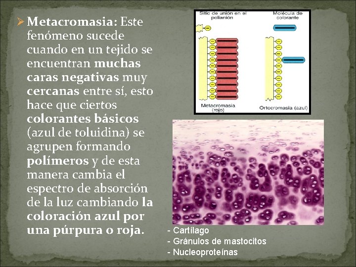 Ø Metacromasia: Este fenómeno sucede cuando en un tejido se encuentran muchas caras negativas