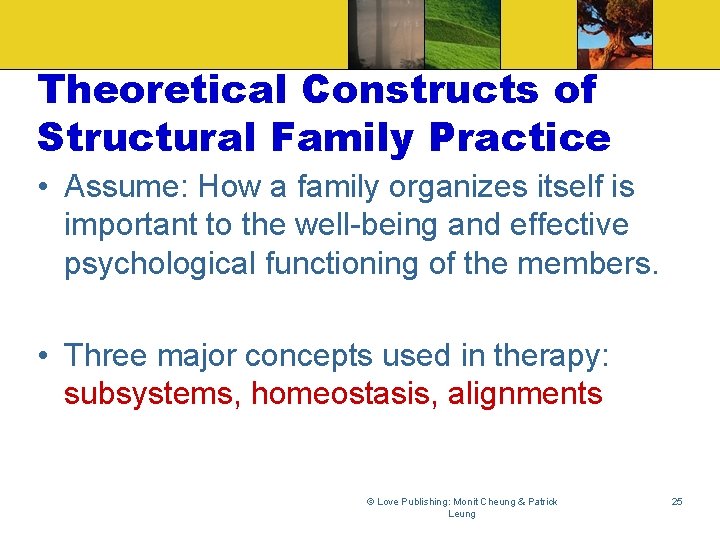 Theoretical Constructs of Structural Family Practice • Assume: How a family organizes itself is