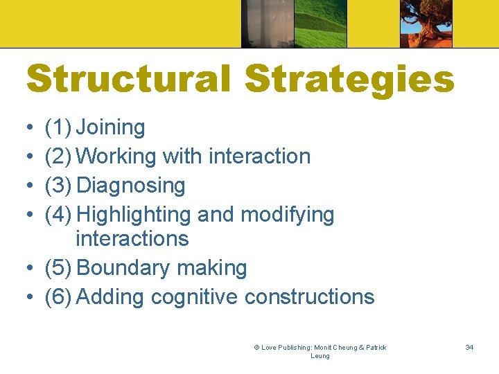 Structural Strategies • • (1) Joining (2) Working with interaction (3) Diagnosing (4) Highlighting