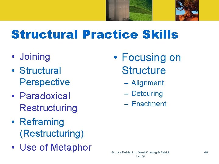 Structural Practice Skills • Joining • Structural Perspective • Paradoxical Restructuring • Reframing (Restructuring)