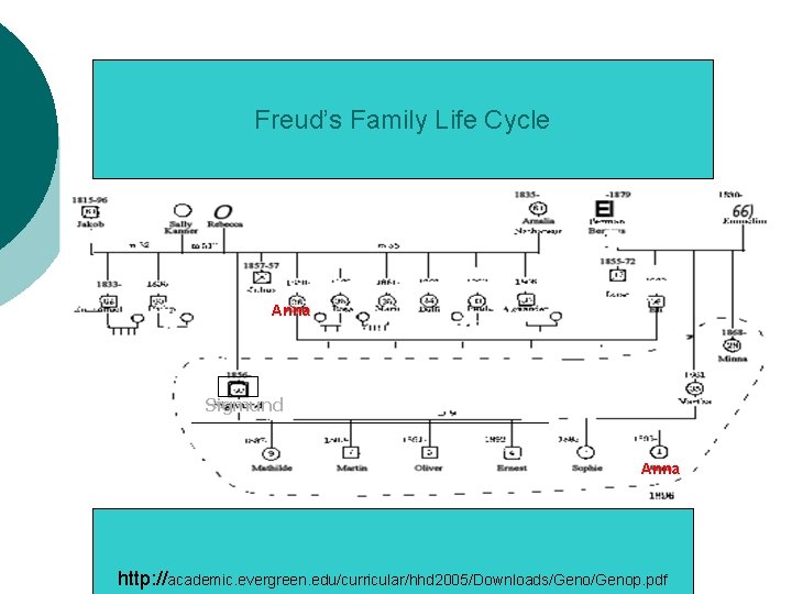 Freud’s Family Life Cycle Anna Sigmund Anna (c) Love Publishing: Monit Cheung & Patrick