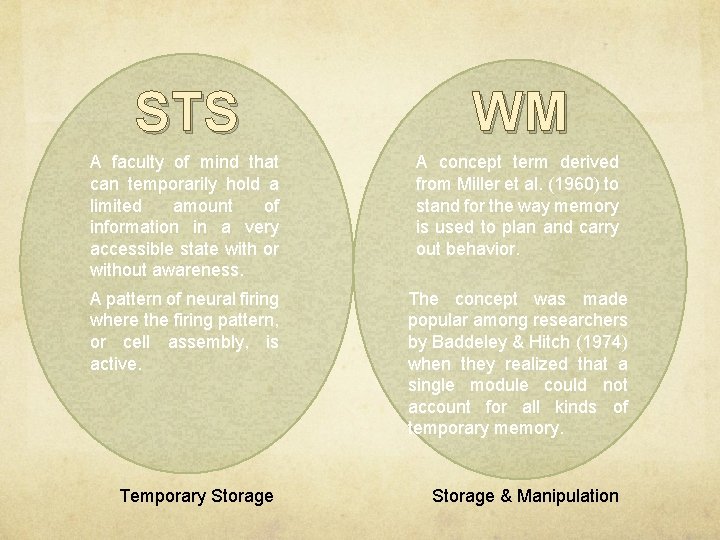 STS WM A faculty of mind that can temporarily hold a limited amount of