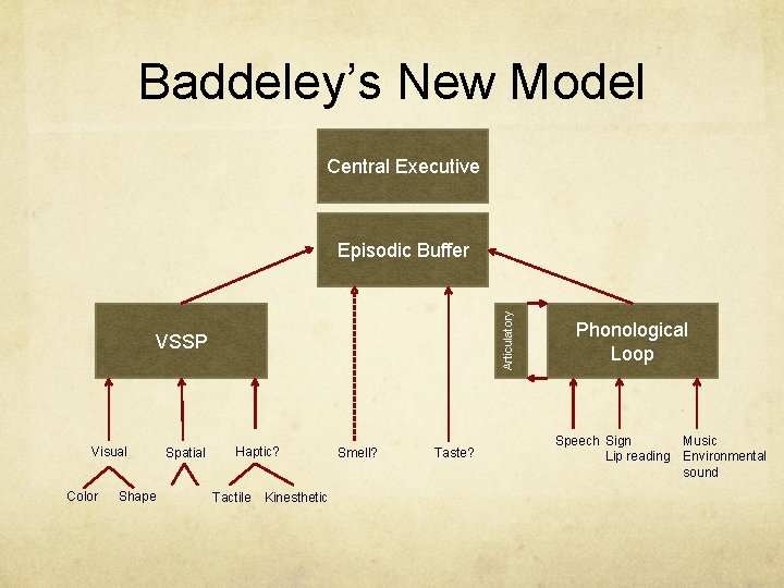 Baddeley’s New Model Central Executive Articulatory Episodic Buffer VSSP Visual Color Shape Spatial Haptic?