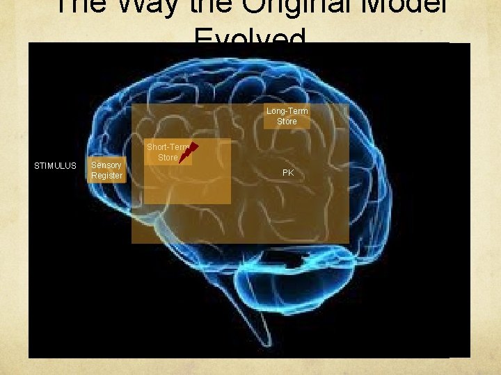 The Way the Original Model Evolved Long-Term Store STIMULUS Sensory Register STIMULUS PK Short-Term