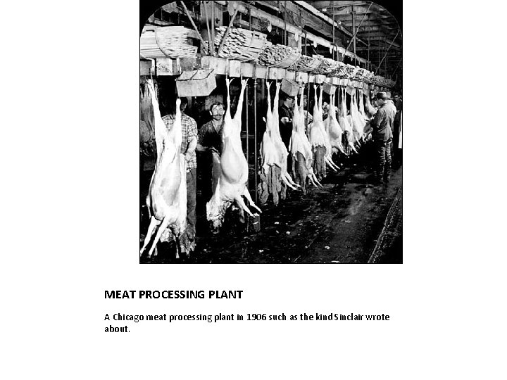 MEAT PROCESSING PLANT A Chicago meat processing plant in 1906 such as the kind