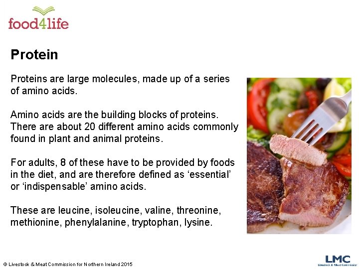 Proteins are large molecules, made up of a series of amino acids. Amino acids Proteins are large molecules, made up of a series of amino acids. Amino acids