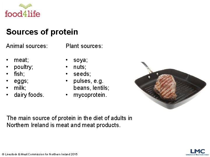Sources of protein Animal sources: Plant sources: • • • meat; poultry; fish; eggs; Sources of protein Animal sources: Plant sources: • • • meat; poultry; fish; eggs;