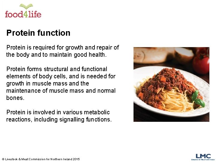Protein function Protein is required for growth and repair of the body and to Protein function Protein is required for growth and repair of the body and to