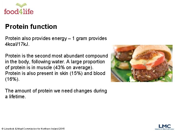 Protein function Protein also provides energy – 1 gram provides 4 kcal/17 k. J. Protein function Protein also provides energy – 1 gram provides 4 kcal/17 k. J.