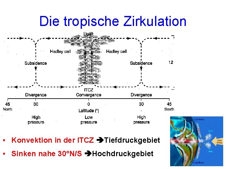 Die tropische Zirkulation • Konvektion in der ITCZ Tiefdruckgebiet • Sinken nahe 30°N/S Hochdruckgebiet Die tropische Zirkulation • Konvektion in der ITCZ Tiefdruckgebiet • Sinken nahe 30°N/S Hochdruckgebiet