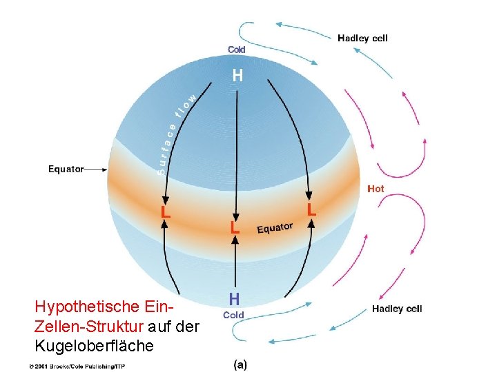 Hypothetische Ein. Zellen-Struktur auf der Kugeloberfläche Hypothetische Ein. Zellen-Struktur auf der Kugeloberfläche