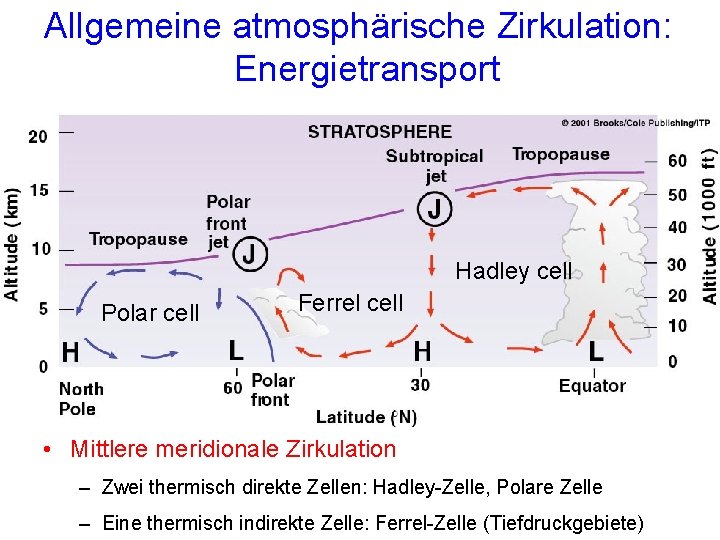 Allgemeine atmosphärische Zirkulation: Energietransport Hadley cell Polar cell Ferrel cell • Mittlere meridionale Zirkulation Allgemeine atmosphärische Zirkulation: Energietransport Hadley cell Polar cell Ferrel cell • Mittlere meridionale Zirkulation