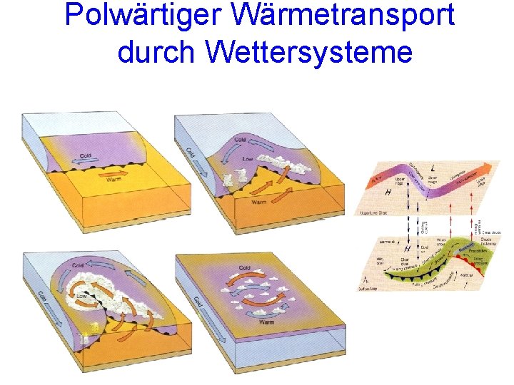 Polwärtiger Wärmetransport durch Wettersysteme Polwärtiger Wärmetransport durch Wettersysteme