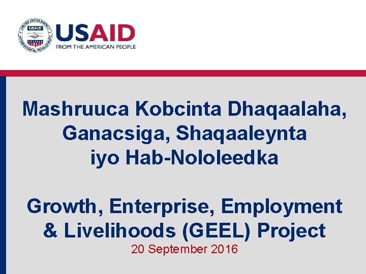 Mashruuca Kobcinta Dhaqaalaha, Ganacsiga, Shaqaaleynta iyo Hab-Nololeedka Growth, Enterprise, Employment & Livelihoods (GEEL) Project