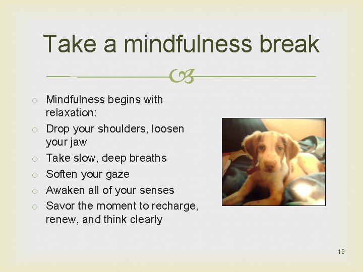 Take a mindfulness break o Mindfulness begins with relaxation: o Drop your shoulders, loosen