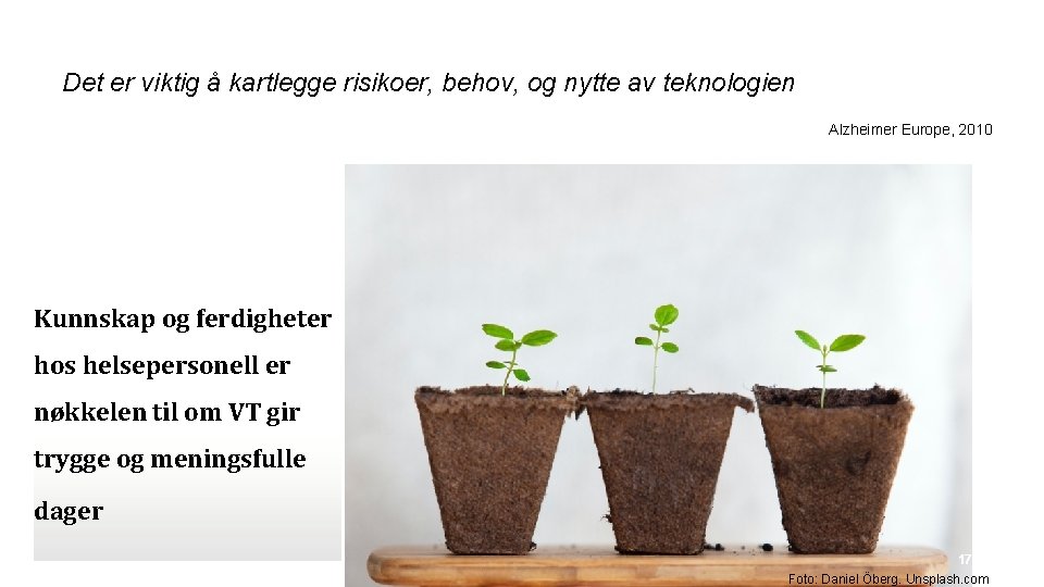 Det er viktig å kartlegge risikoer, behov, og nytte av teknologien Alzheimer Europe, 2010