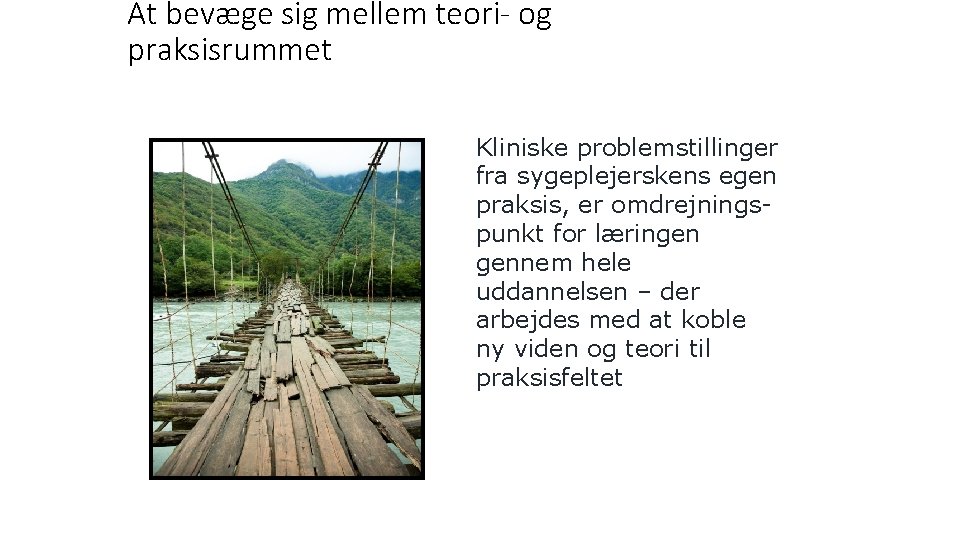 At bevæge sig mellem teori- og praksisrummet Kliniske problemstillinger fra sygeplejerskens egen praksis, er